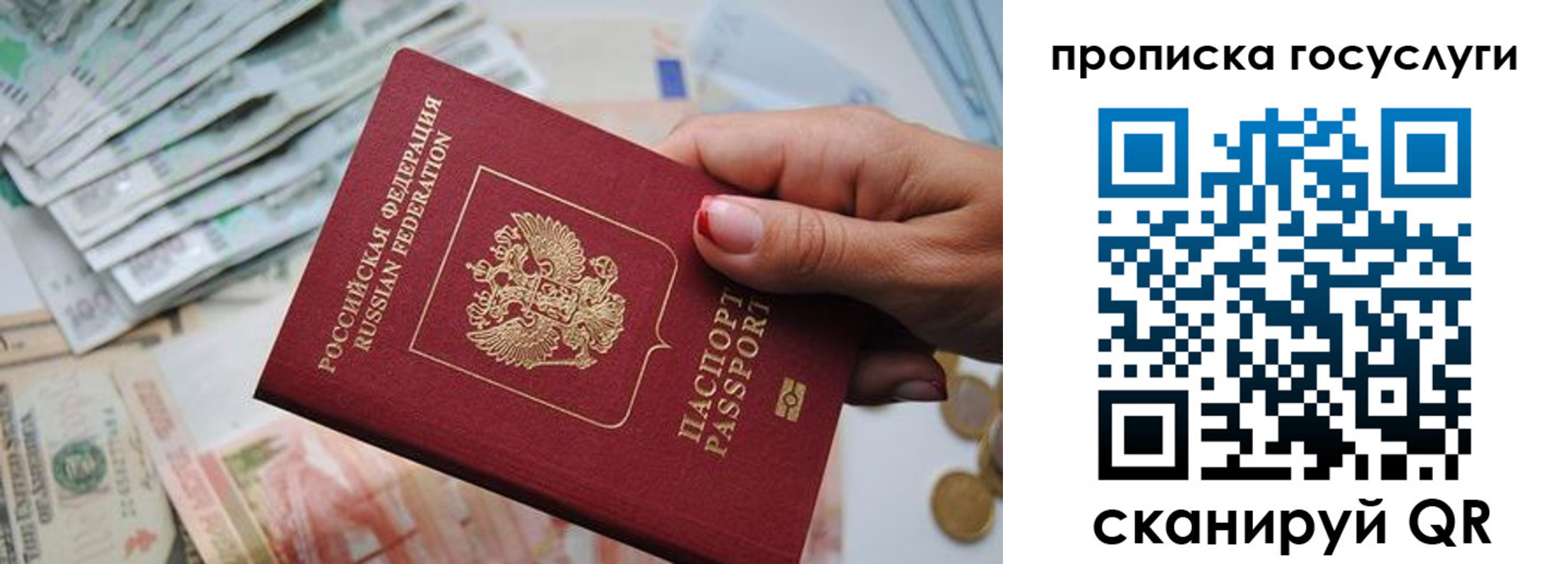 прописка поиск в Пересвете